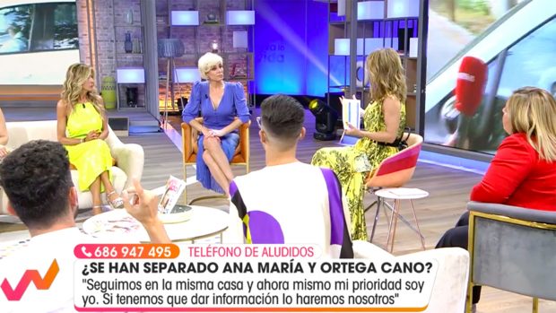 Ana María Aldón en el plató de 'Viva la Vida' / Telecinco