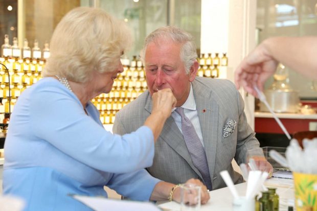 Carlos de Inglaterra y Camilla de Cornualles oliendo una fragancia en una perfumería francesa / Gtres