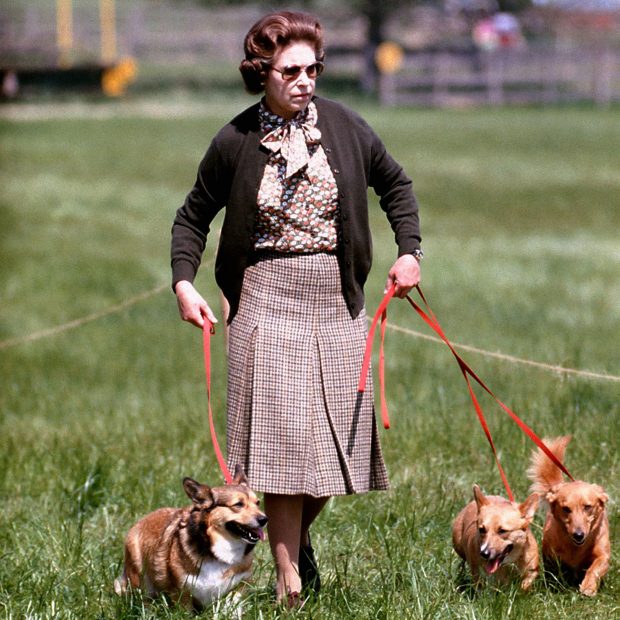 La Reina Isabel con sus perros / Gtres