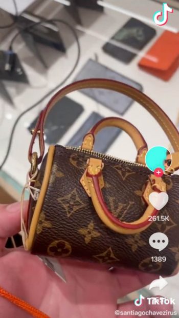 Así es el polémico bolso de 900 euros de Louis Vuitton para recoger las  heces de