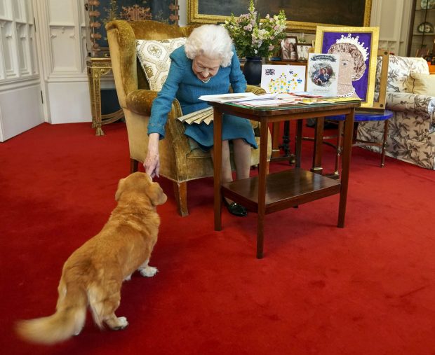 Isabel II y sus Corgi en 2022 / Gtres