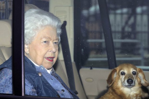 Isabel II y sus Corgi en 2020 / Gtres