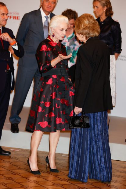 La Reina Sofía en la entrega de Premios de la Fundación MAPFRE / Gtres