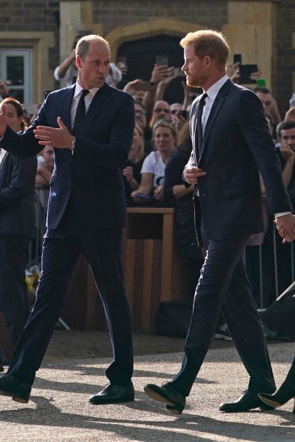 El príncipe Harry y Guillermo de Inglaterra / Gtres