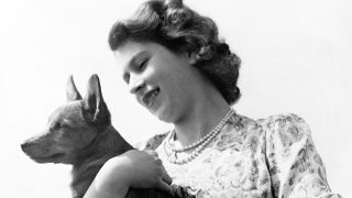Isabel II con un perro / Gtres