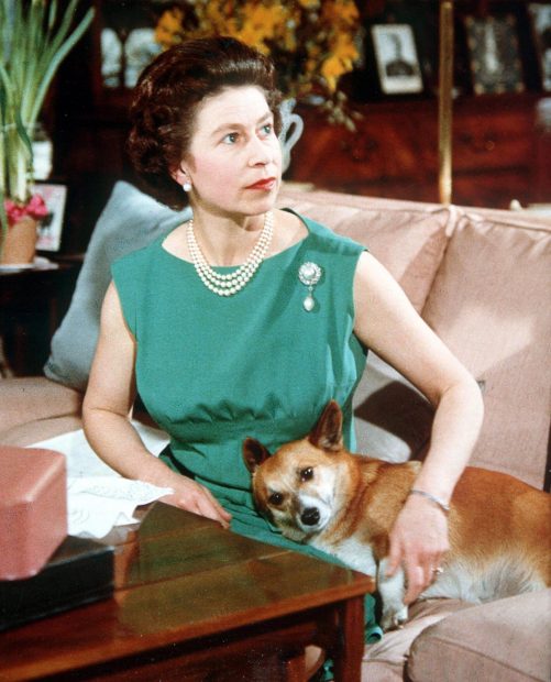 Isabel II con un perro / Gtres
