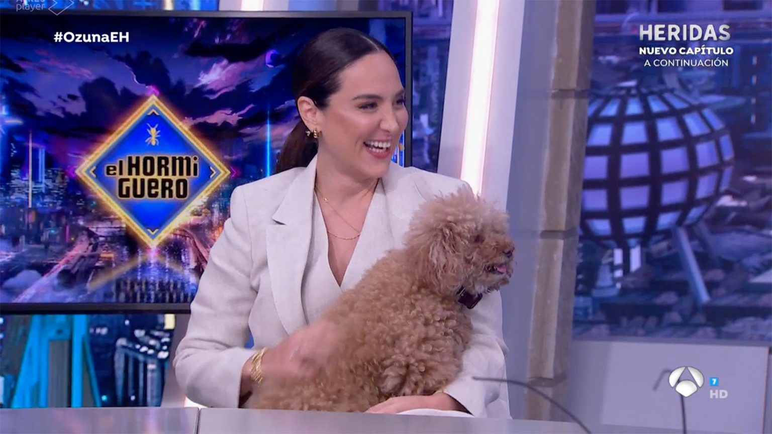 Con muletas y perro acompañante: Tamara Falcó se lesiona a escasas ...