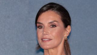La Reina Letizia en una imagen reciente. / Gtres