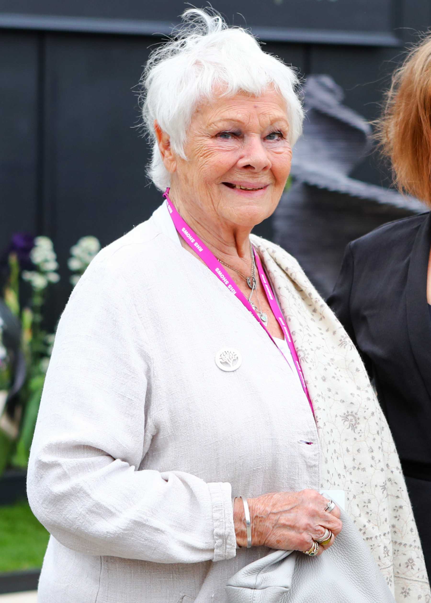 La actriz Judi Dench en un evento / Gtres