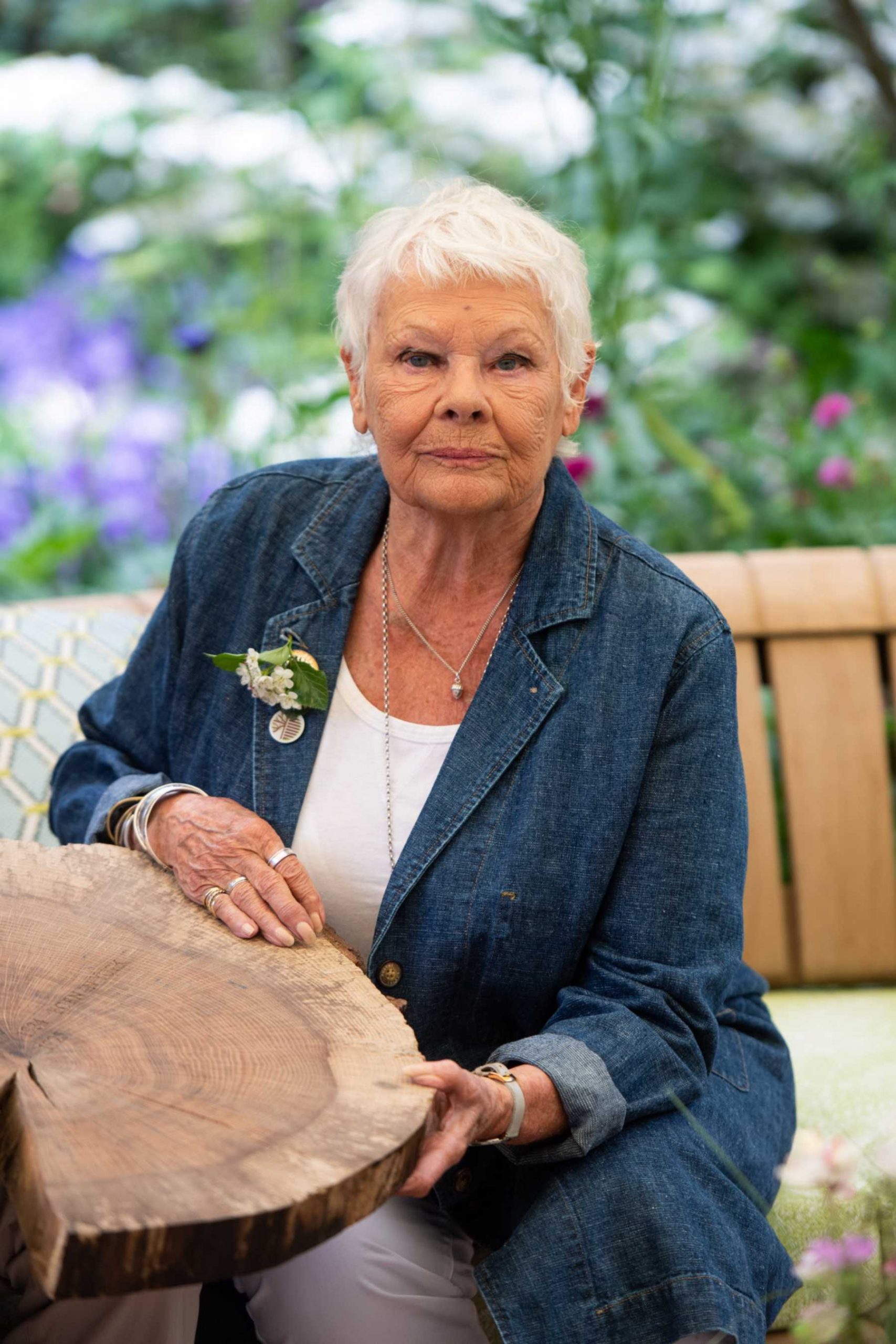 Judi Dench en un evento / Gtres