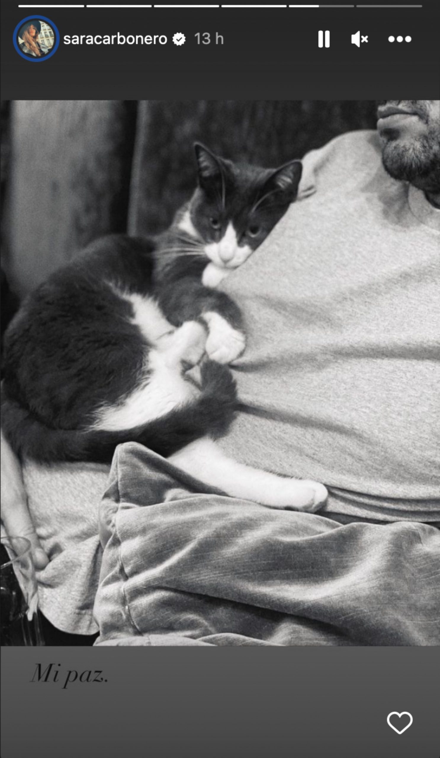 Nacho Taboada con un gato/ Instagram de Sara Carbonero 
