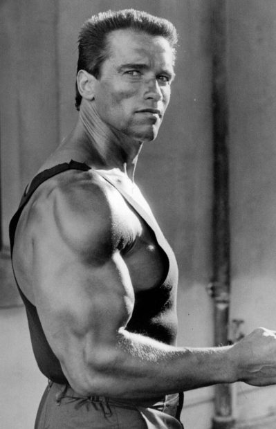 Arnold Schwarzenegger/ Gtres