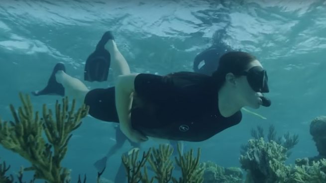 Kate Middleton Bahamas, Buceo, Kate Middleton buceando en Bahamas,