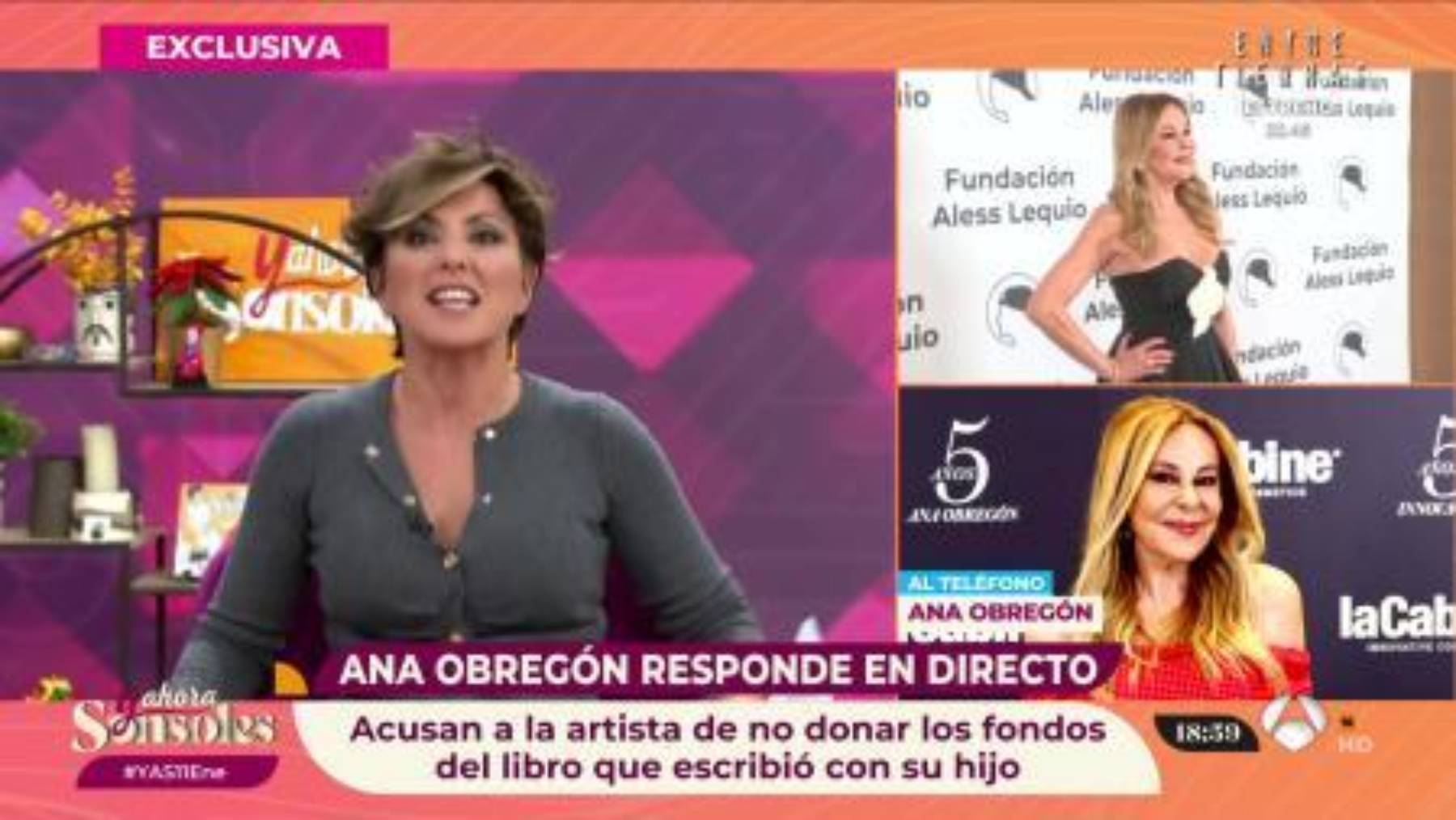 Ana Obregón, Ana Obregón Fundación, Fundación Aless Lequio