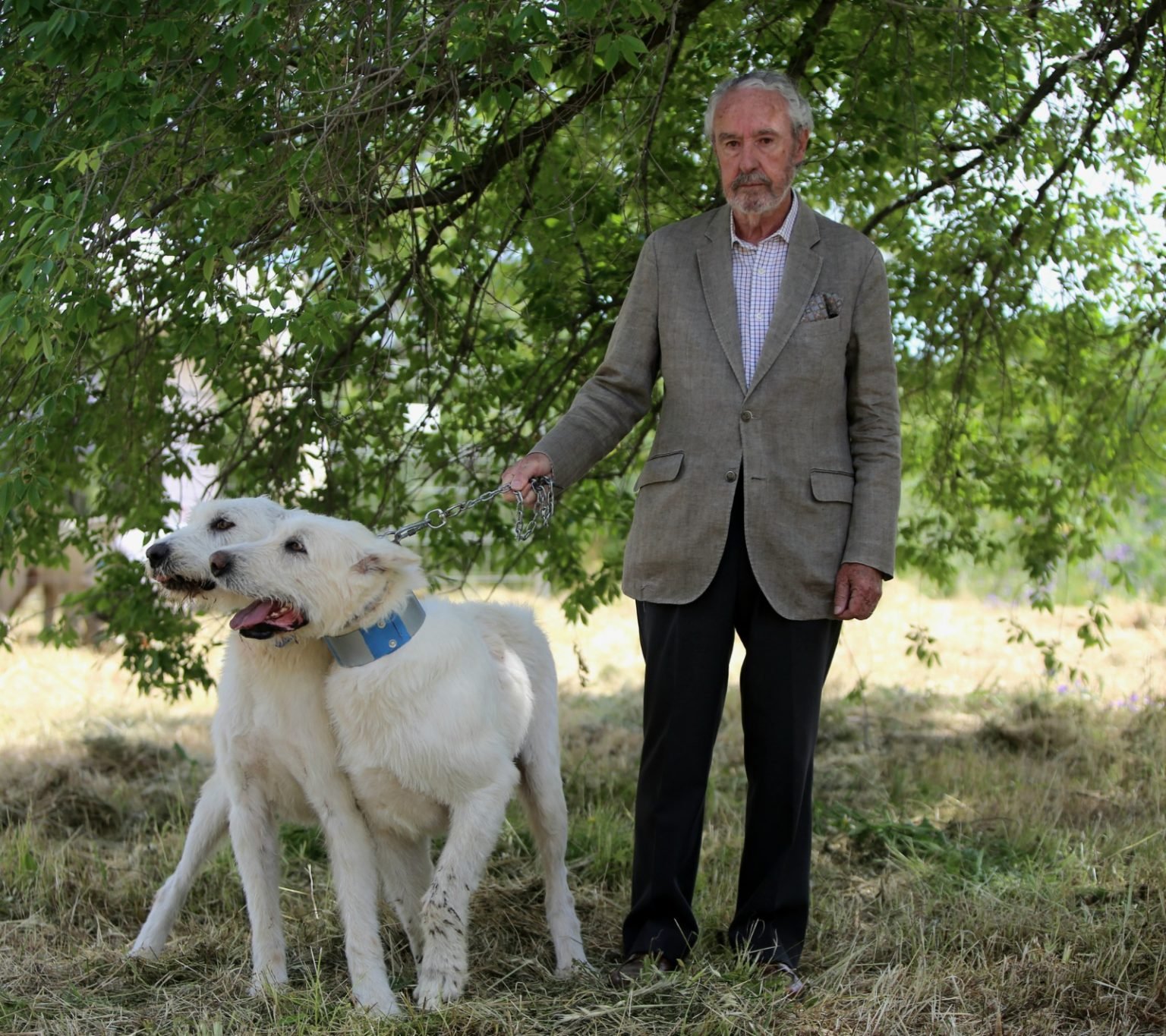 Alonso Alvarez de Toledo,el compañero de pupitre de Juan Carlos I