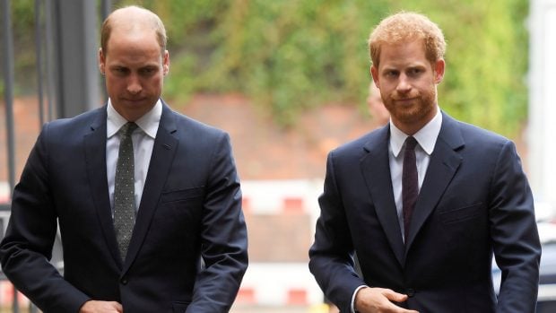 Principe Harry, principe guillermo, harry guillermo