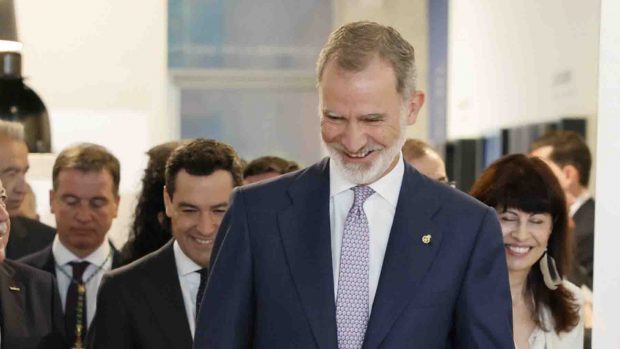 Rey Felipe VI