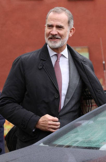 Rey Felipe VI