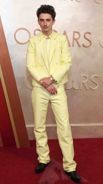 Timothée Chalamet, premios Oscar 2025