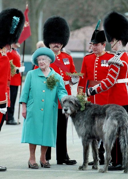 Kate Middleton, San Patricio, reina Isabel