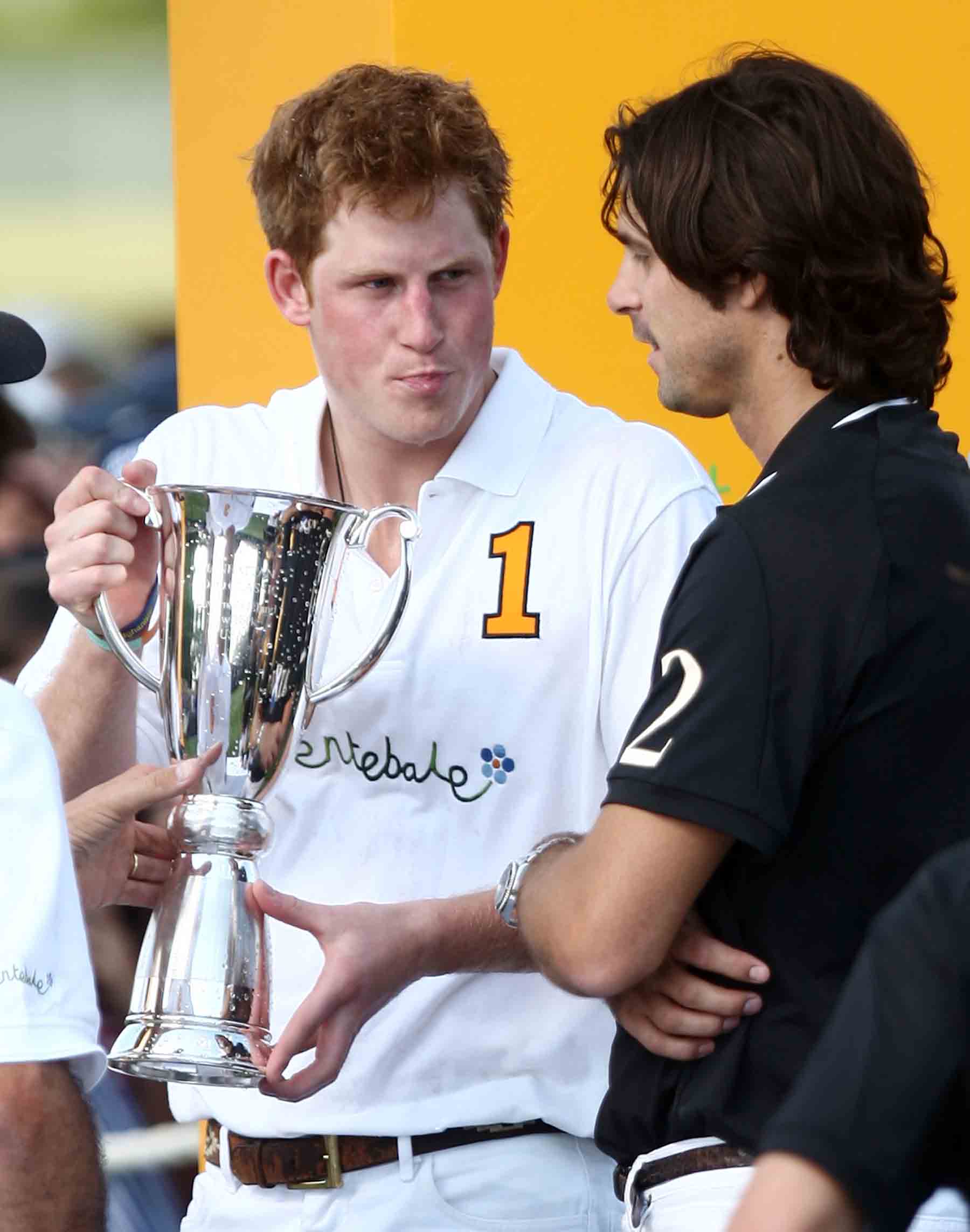 Nacho Figueras, Harry
