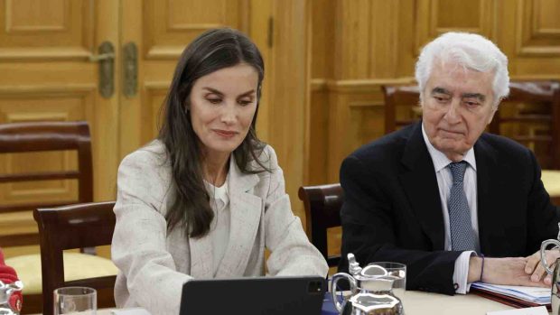 Reina Letizia