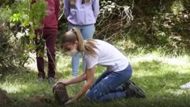 La infanta Sofía plantando un árbol. (Foto: Casa Real)