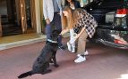 infanta sofia, perro