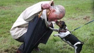 El rey Carlos III posando con un perro. (Foto: Gtres)