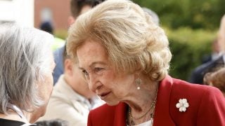 La Reina Sofía en un acto oficial. (Foto: Gtres)