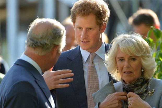 Harry, Meghan, camila, madre meghan