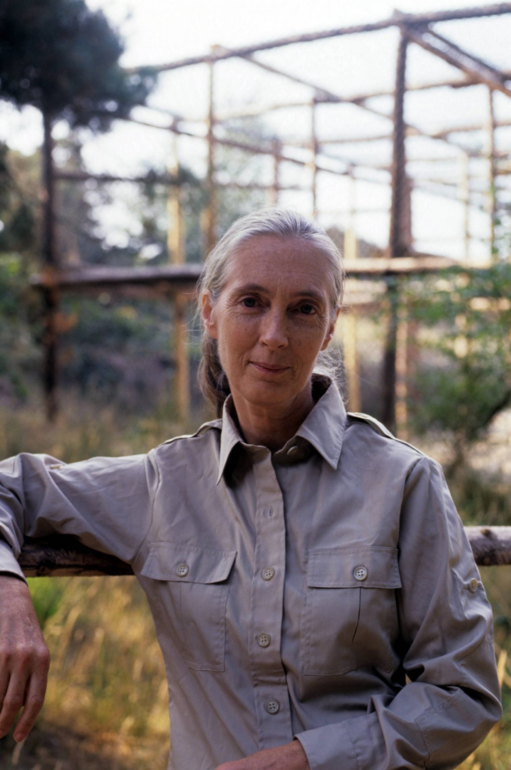 Jane Goodall en 'Nature Watch'. (Foto: Gtres)