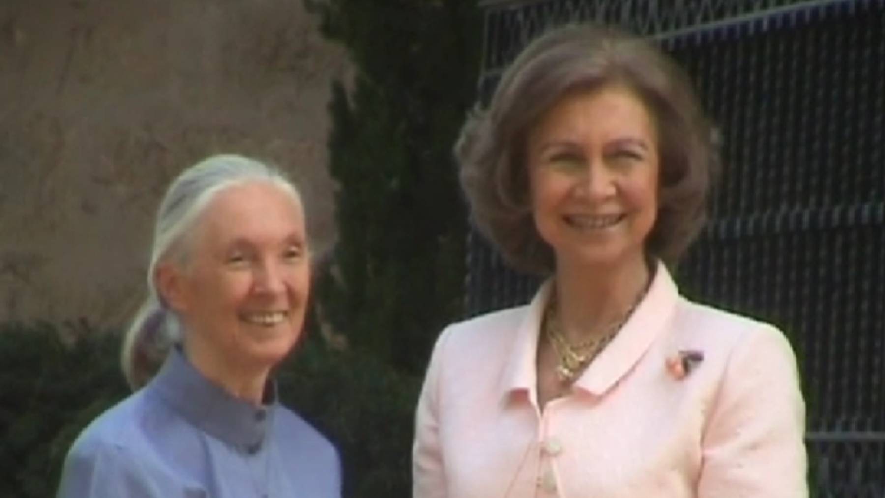 Recordamos el día que Jane Goodall conquistó a Doña Sofía: un encuentro inspirado por los chimpancés