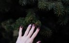 Adiós a las uñas rojas: las pijas de Madrid ahora llevan este color y es mucho más elegante