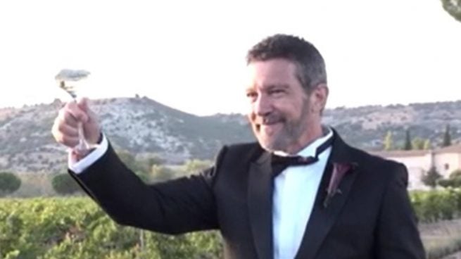 Ver vídeo