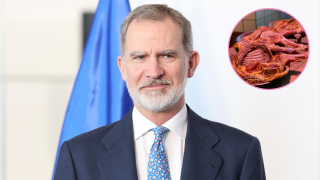 El Rey Felipe VI en un acto oficial. (Foto: Gtres)