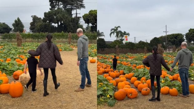 En las imágenes, Meghan y Harry de la mano vigilan a su primogénito, Archie, mientras recoge calabazas para decorar su hogar. (Fotos: Redes Sociales)