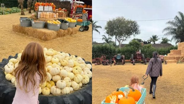 Aunque no enseña su rostro, la actriz de 'Suits' ha dado cuenta cuánto ha crecido Lilibert Diana, su hija pequeña. (Fotos: Redes Sociales)