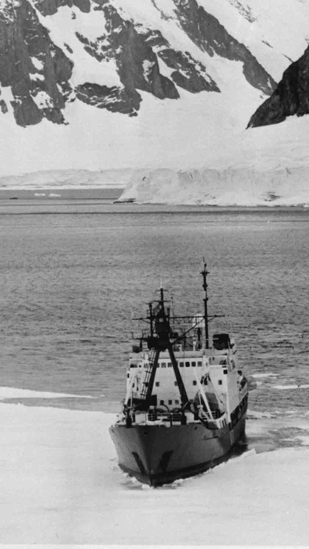 Andrés Mountbatten-Windsor