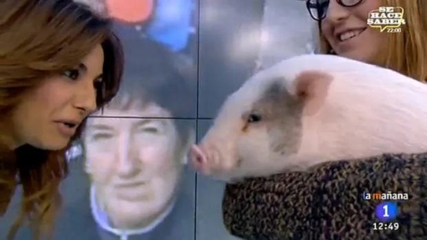 Mariló Montero, Masterchef celebrity