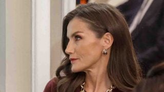 La Reina Letizia en un acto en Madrid. (Foto: Gtres)