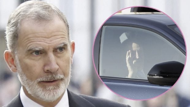 rey felipe, el pardo, rey juan carlos,