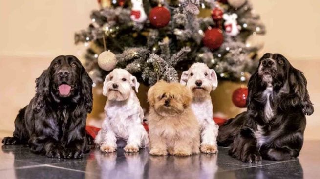 Reyes Juan Carlos y Sofía