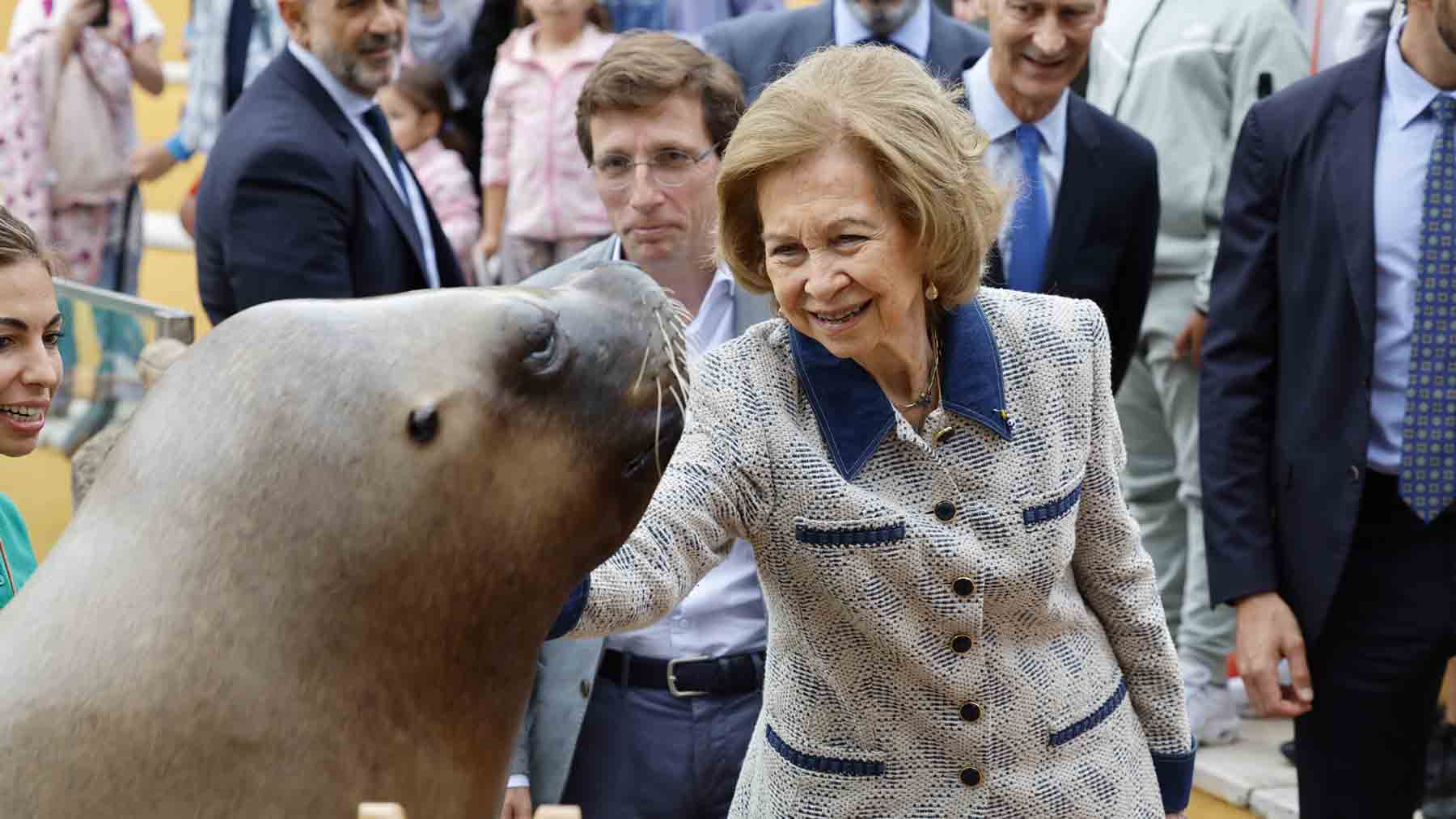 La Reina Sofía abrirá su propia protectora de animales