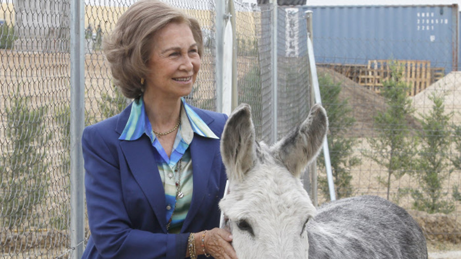 El alcalde de Arganda da nuevos detalles de la protectora de la Reina Sofía: ¿la apoyan los Reyes?