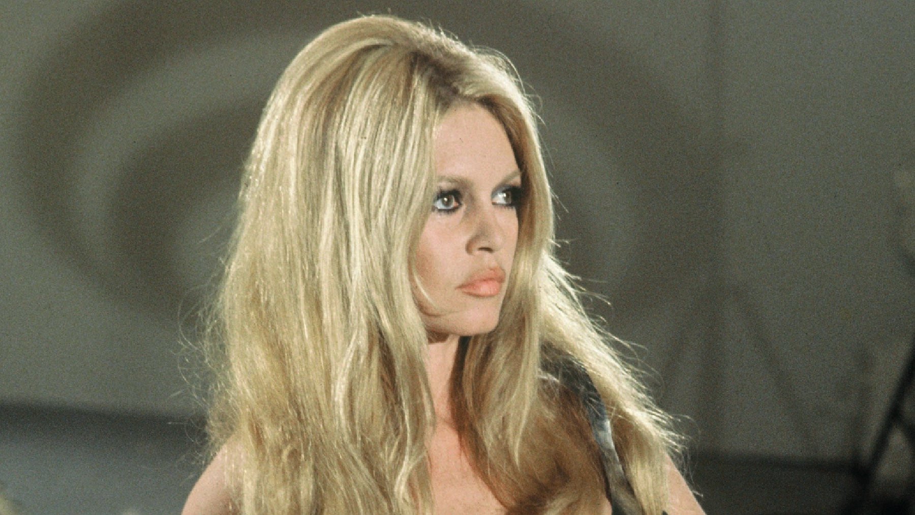 Adiós a Brigitte Bardot: su fortuna, qué pasó con su hijo, quién fue su marido y sus películas