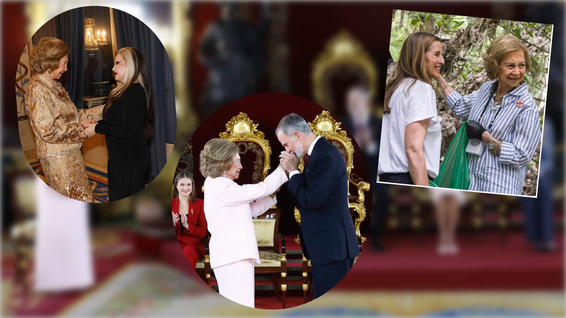 La Casa Real comparte las imágenes más destacadas del año más delicado de la Reina Sofía