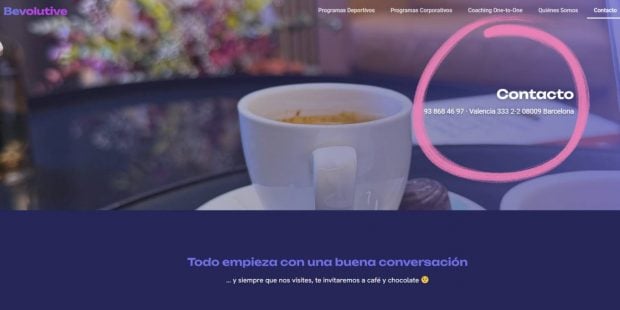 Iñaki Urdangarin, Bevolutive