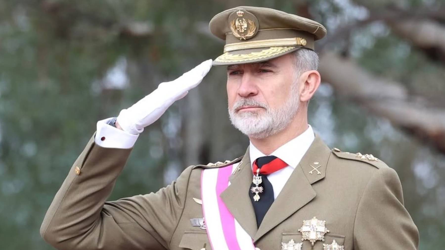 Las emocionantes imágenes del Rey Felipe VI durante el juramento de Bandera en Cáceres
