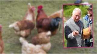 El rey Carlos III en un montaje de Look. (Fotos: Gtres)